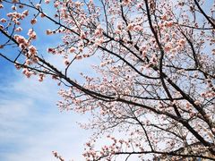 -吉林大学(南岭校区)