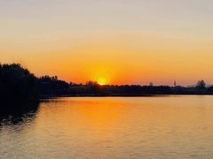 -大兴滨河森林公园