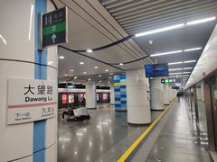 -大望路(地铁站)