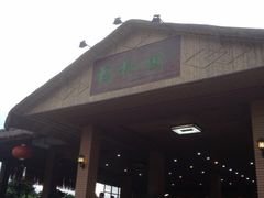 -兴隆槟榔园休闲农庄