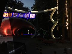 -枫花园汽车电影院(朝阳公园店)