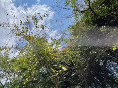 -广州市白云山风景名胜区