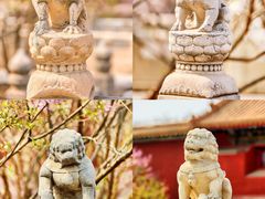 -故宫博物院(故宫)