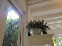 -Fern Forest Cafe