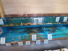 水产区-良师门滨海人家·海鲜·家常菜(滨海城店)