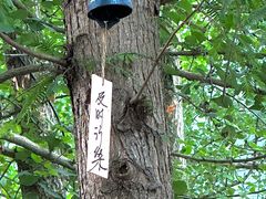 -蜀水别园(青杠树店)
