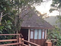 -三亚亚龙湾人间天堂鸟巢度假村