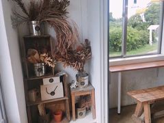 -柑橘农场