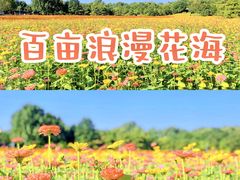 -沉浸北京·团建旅行·密室剧本杀·年会会议轰趴拓展