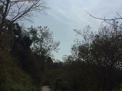-七仙岭温泉国家森林公园