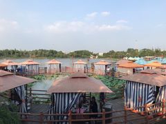 -马帮寨院坝火锅(龙港公园店)