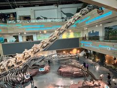 -安徽省地质博物馆