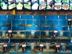 水产区-苏大嘴海鲜牧场(奥林匹克店)