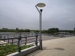 -大兴滨河森林公园