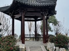 -东钱湖旅游度假区