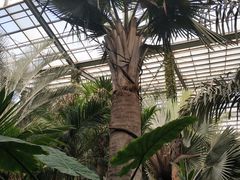 -呀路古热带植物园