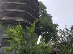 -正阳书局(西四南大街店)