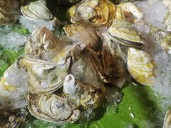 -鑫海汇海鲜烤肉自助(北国商城店)