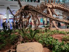 -自贡恐龙博物馆