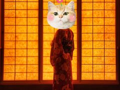 -重庆南山海昌汤都