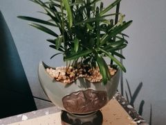 -广州酒家(中华广场店)