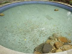 -罗浮山嘉宝田森林温泉度假酒店