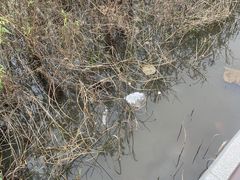 -清溪大王山森林公园
