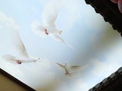 -徽三说·土徽菜·中国徽菜连锁品牌(一中店)