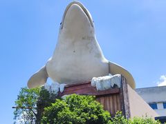 -杭州长乔极地海洋公园