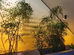 -聚友斋(陶瓷琉璃馆水晶街店)