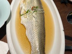 酒糟白水鱼-人和馆·上海菜(肇嘉浜路店)