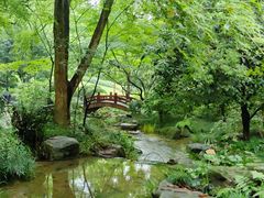 -中国茶叶博物馆(双峰馆区)
