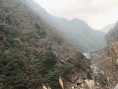 -江南天池