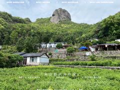 -雁荡山风景名胜区