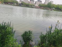 -河北省园博园