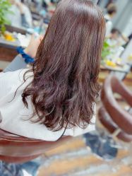 -镁连社·美联社