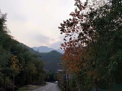 -山沟沟景区