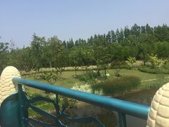 -上海长兴岛郊野公园