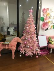 -Lab Season惜辰颜究社