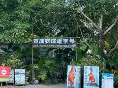 -芭厘农庄老字号·清远鸡