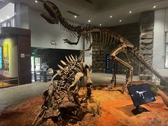 -自贡恐龙博物馆