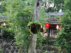 -青城甲(青城山店)