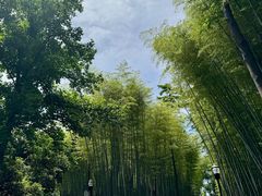 -潜山国家森林公园