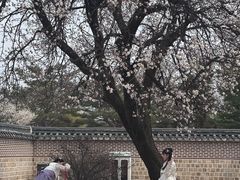 -景福宫