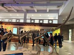 -自贡恐龙博物馆