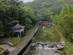 -白水寺森林公园