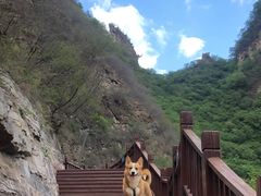 -十渡东湖港风景区