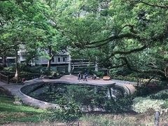 -香港大学