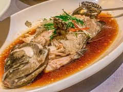 清蒸老虎斑鱼-九朝会昆曲·宴(望京店)