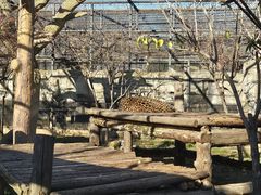 -石家庄市动物园